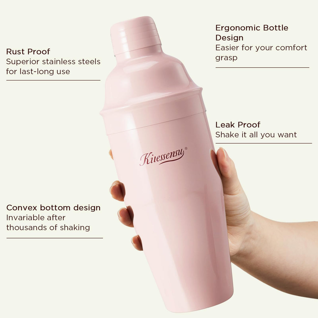 Professional Drink Mixer Set for Beginners, Silver