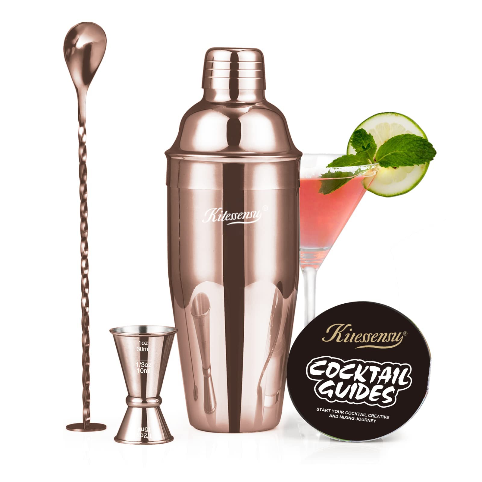 Professional Drink Mixer Set for Beginners, Silver