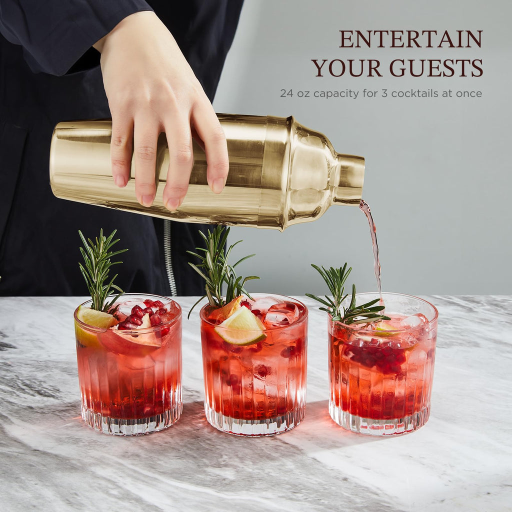 Professional Drink Mixer Set for Beginners, Silver