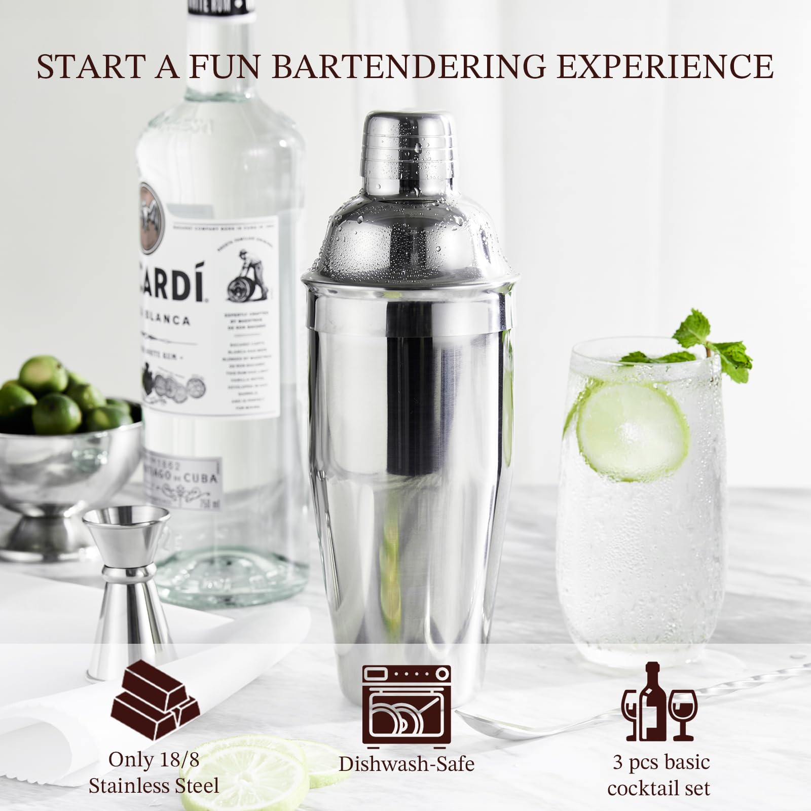 Professional Drink Mixer Set for Beginners, Silver