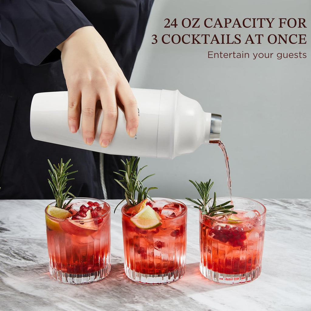 Professional Drink Mixer Set for Beginners, Silver