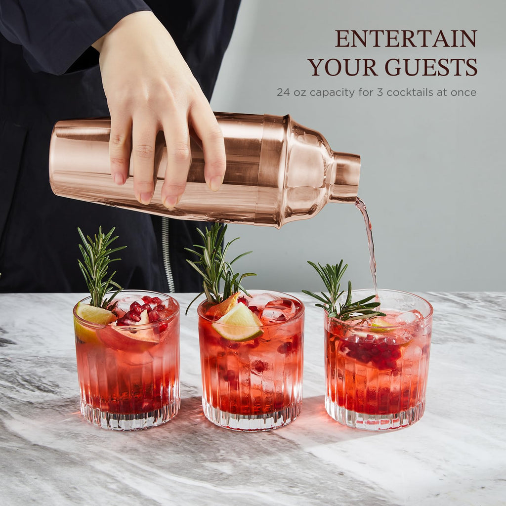 Professional Drink Mixer Set for Beginners, Silver