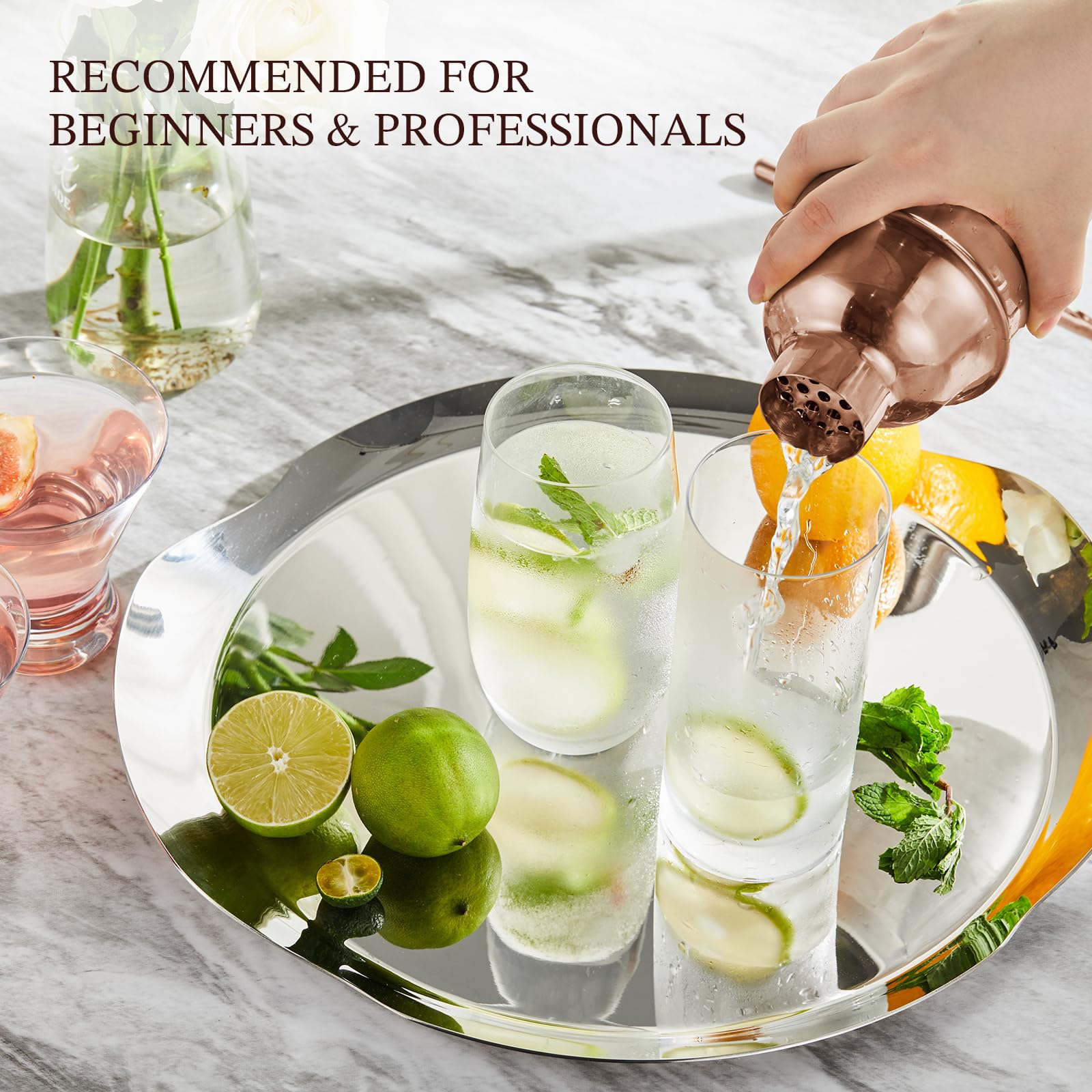 Professional Drink Mixer Set for Beginners, Silver
