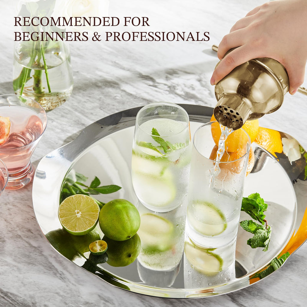 Professional Drink Mixer Set for Beginners, Silver